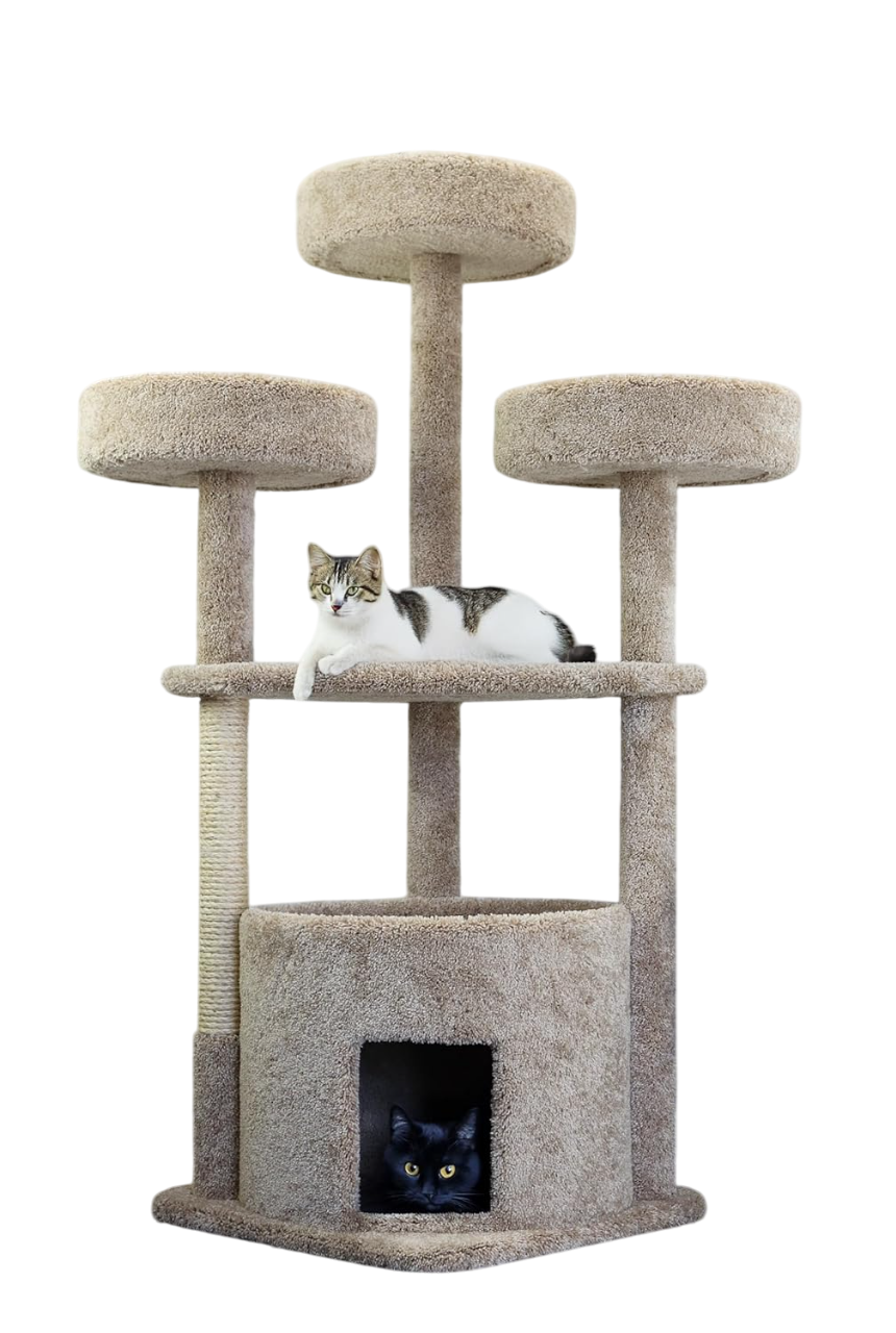 Prestige Tan Main Coon Cat House Cat Tree