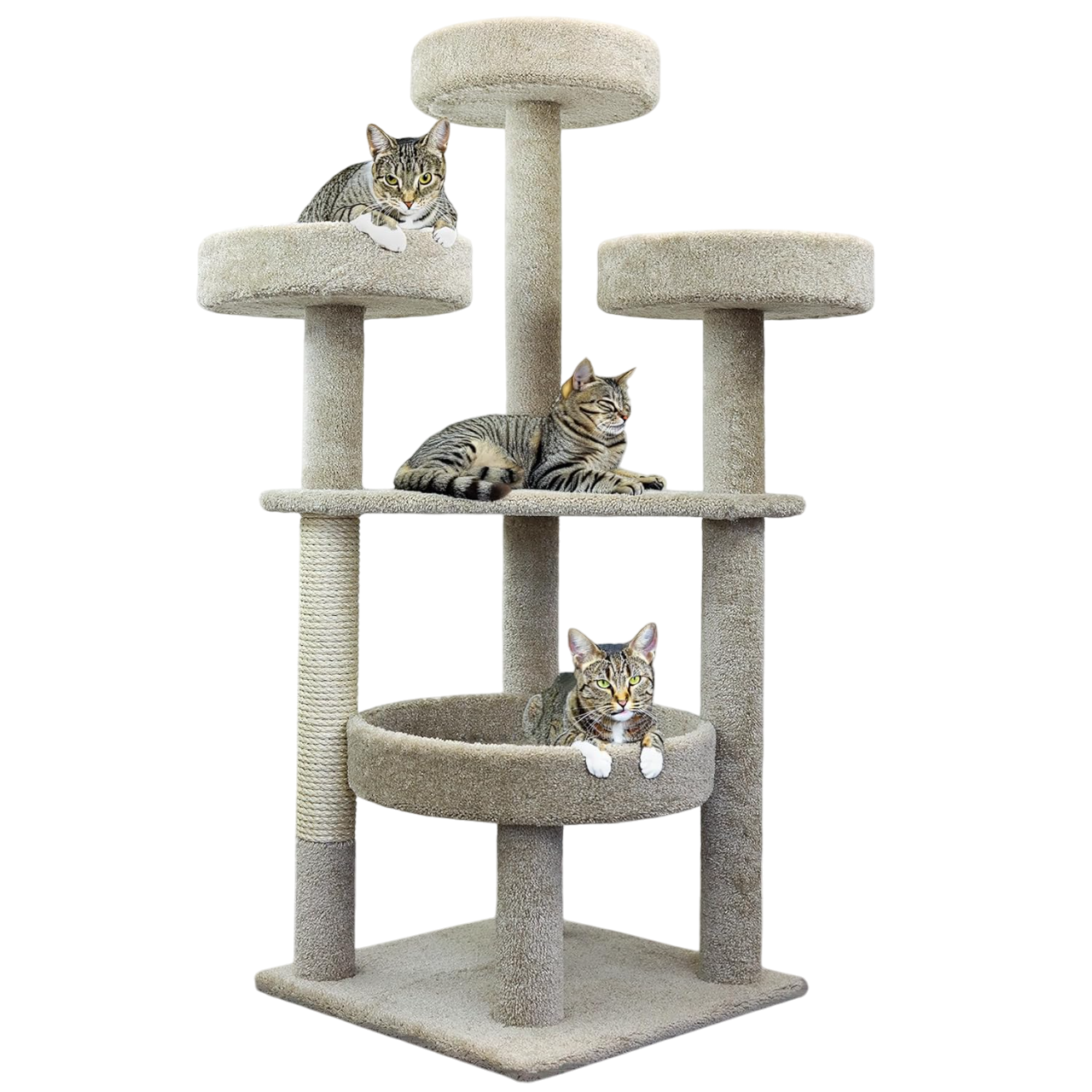 Main Coon Cat Tower Cat Tree by Prestige